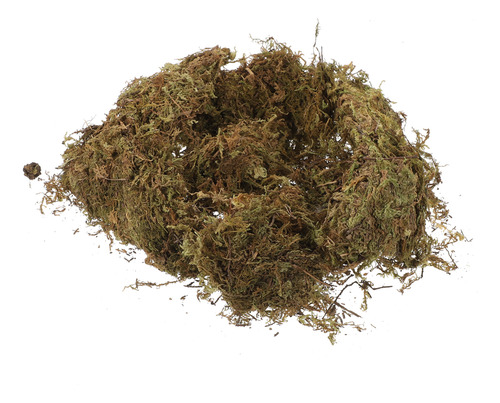 Musgo Seco Moss Habitat, 2 Paquetes