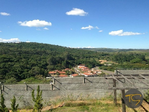 Imagem 9 de 9 de Terreno - Te00172 - 4688236