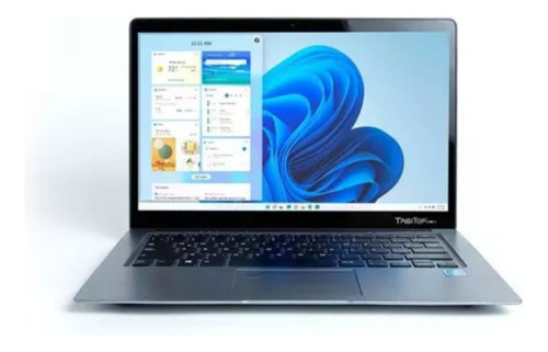 Notebook Tag Tech Celeron 4gb 256gb Ssd + 64gb Reacondionado (Reacondicionado)