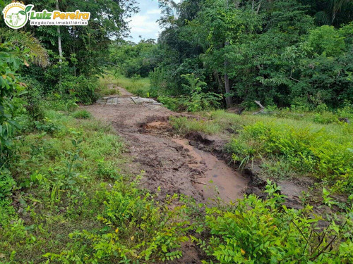 Imagem 9 de 14 de Fazenda Á Venda Em Barra Do Ouro - T0 - 1.621,4 Hectares (dupla Aptidão) - 2129