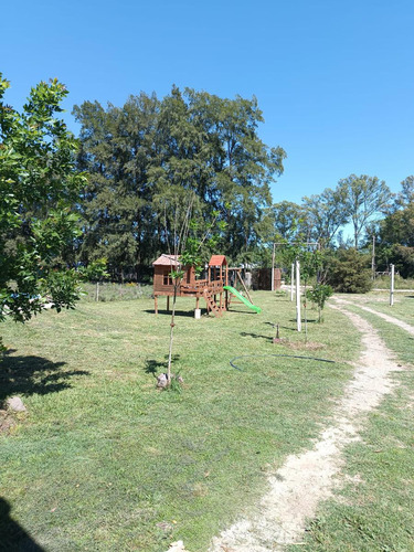 Casa Quinta Venta La Plata Ruta 2 Jardin Galería Parrilla Pileta Lote 3700 Mts Galpón