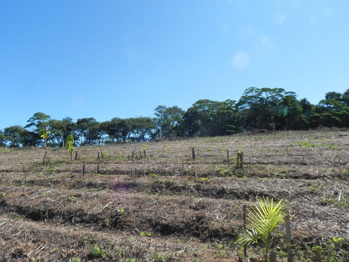 Ig Ótima Topografia - Lotes Em Ibiúna