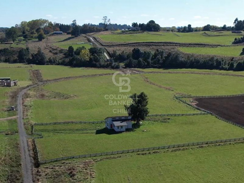 ¡descubre Tu Rincón Ideal En Mantilhue En El Lago Puyehue!