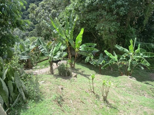 Imagen 23 de 30 de Oripoto Casa En Venta Cod.20-14462