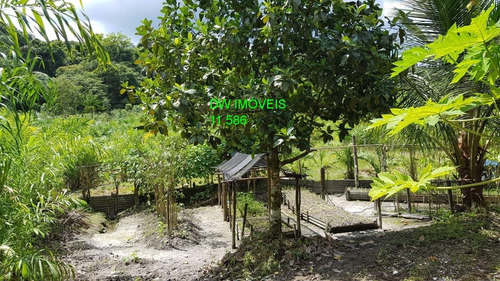 Chacara - 04969 - 67616140