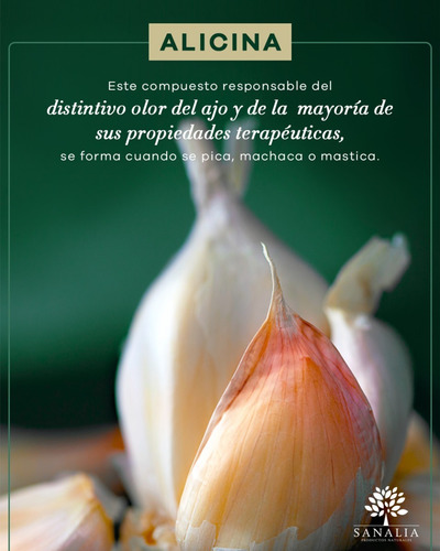 Imagen 4 de 6 de Extracto De Ajo Sanalia, Antioxidantes Y Nutrientes