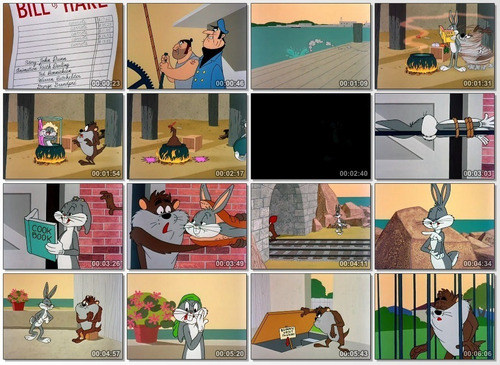 Serie Looney Tunes Y Merrie Melodies Coleccion Completa