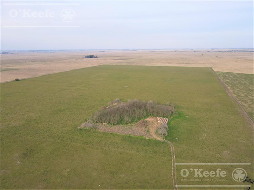 Imagen 19 de 29 de Campo Mixto De 170 Has En San Vicente. Oportunidad!