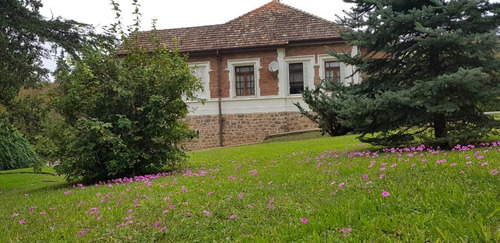 Imagen 3 de 30 de Campo - Cordoba Capital
