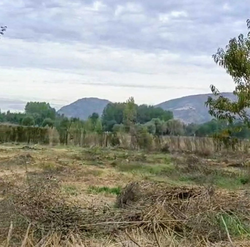 Excelente Terreno 3600 M2 Vi Región (177158)