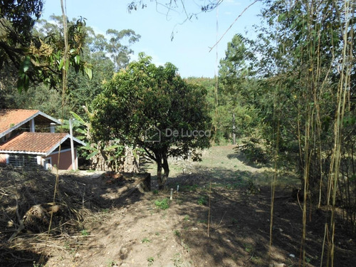 Imagem 10 de 30 de Chácara À Venda Em Chácara Santa Margarida - Ch009346