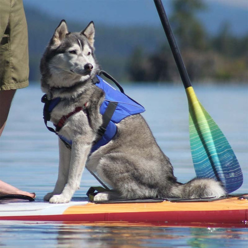 Salvavidas Para Perros Marca Stohlquist. Modelo Pup Float