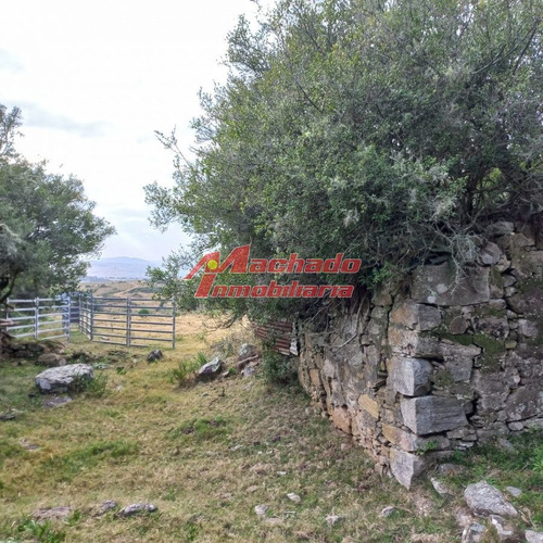 Imagen 9 de 14 de Chacraq En Venta En Puebloe Eden