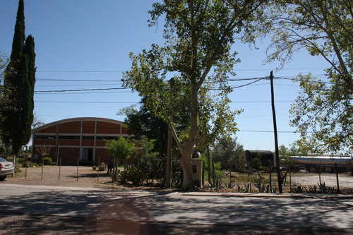Bodega - Mendoza