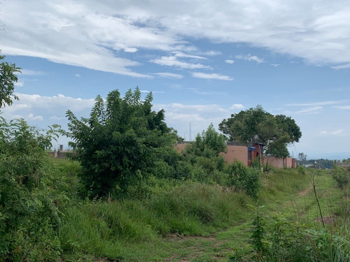Imagen 7 de 16 de Se Vende Terreno A 15 Minutos Del Centro De Oaxtepec