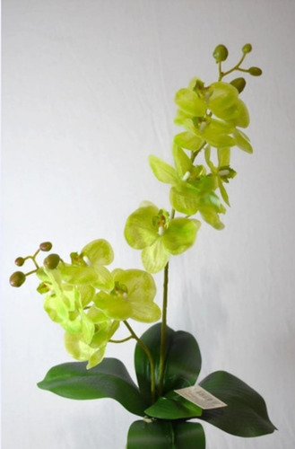Orquídea Artificial Tacto Natural Con Dos Varas,60 Cms Verde