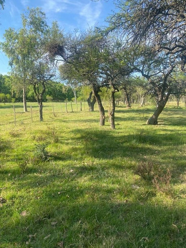Imagen 7 de 10 de Campo - Gualeguaychu
