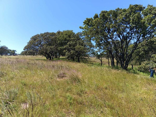 Terreno En Venta En Sierra De Lobos