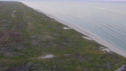 Terreno En Venta De 20m Frente Al Mar En Sisal, Yucatán