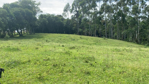 Imagem 15 de 27 de L38- Lotes Com Segurança E Otimo Valor