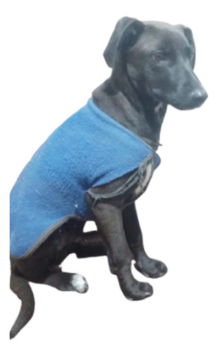 Cachorro Tomi, 5 Meses De Ternurita Total, Medianito, Un Sol