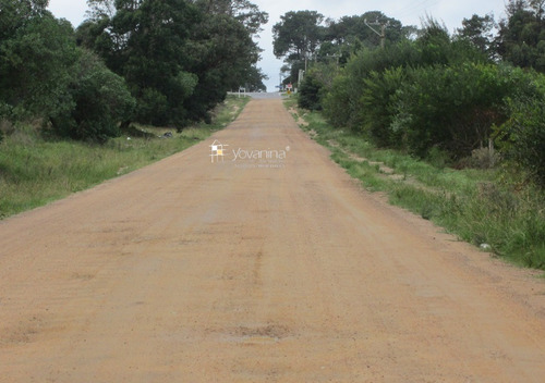 Campo En Venta En Cuchilla Alta Canelones De 21 Hectáreas Ref. Y 150