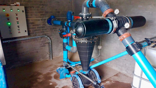 Finca Premium De Ciruelas Dagen Con Infraestructura De Alta Tecnología Cuadro Benegas San Rafael