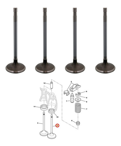 Valvulas Admision Citroen Xsara Picasso 2.0 Hdi 094895