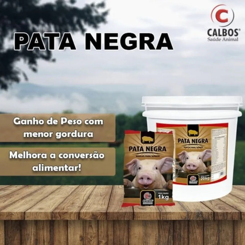 Kit 10 Núcleo P/ Suínos Porco Premix Pata Negra 1 Kg Calbos