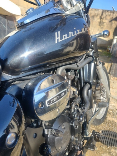 Imagem 6 de 9 de Dafra Horizon 250