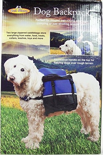 Perro Mochila Medio Azul