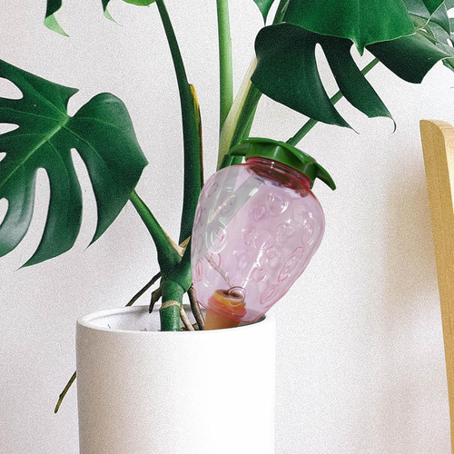 Dispositivo De Auto-rega De Plantas Estacas De 500ml Morango