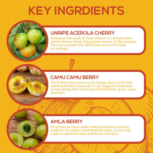 Paleovalley Essential C Complejo Vitamina C 56 Cápsulas