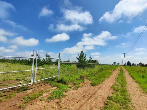 Terreno En Venta En Amealco