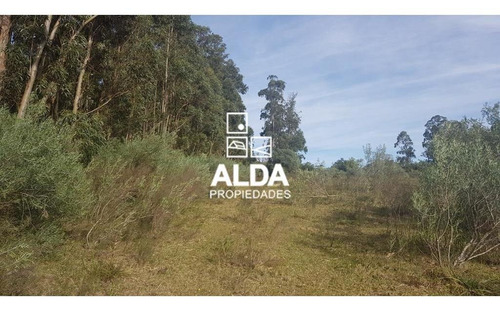 Campo Pueblo Edén Pueblo Edén Venta Cm201475