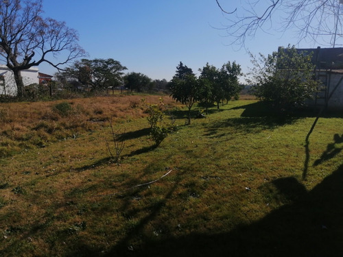 Imagen 6 de 12 de Chacra 1.5 Hectarea En Venta - 75 Metros De Frente A La Ruta 102 Km 38.500