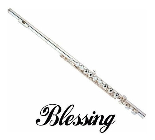 Blessing 6456n Flauta Transversal Do Niquelada C/estuche Color Plateado