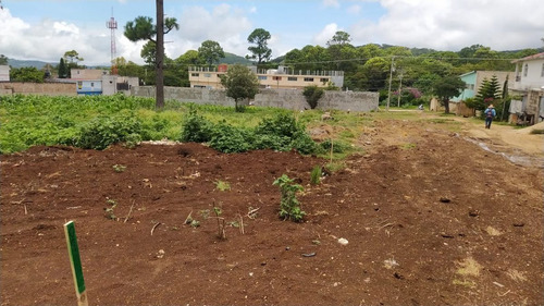 Lote En Venta En Comitan