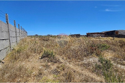 Excelente Terreno En Guanaqueros, Oportunidad