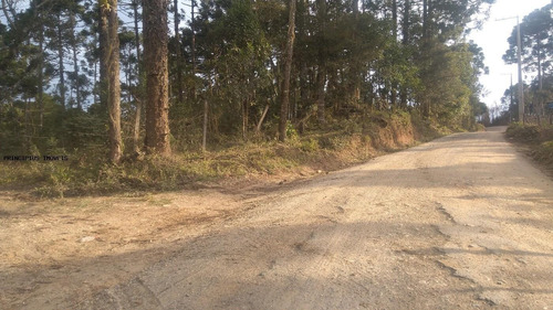 Imagem 4 de 15 de Chácara Para Venda Em Campina Grande Do Sul, Imbuial - 00292_2-1224372