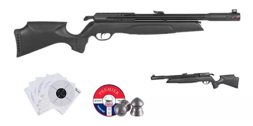 Gamo Pcp Arrow .22 5.5mm Alta Potencia Precision Bomba Xc