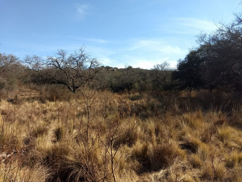 Imagen 4 de 17 de Campo De 100 Hectareas Con Casa En Tulumba, Provincia De Cordoba