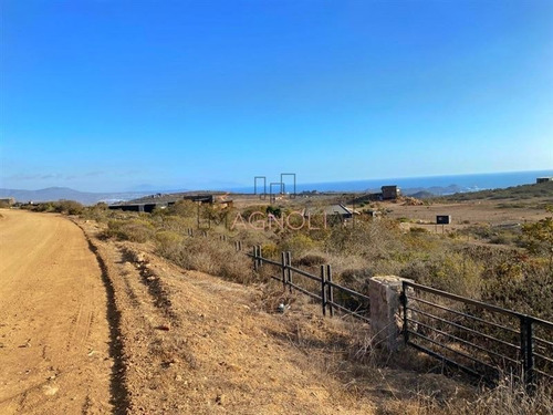 Imagen 9 de 10 de Sitio En Venta En La Ligua