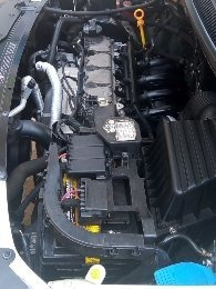 Volkisvagem