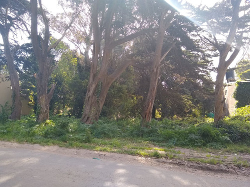 Latorre Prop. Vende Dos Lotes Sobre Av.gandhi - Frente Al Parque