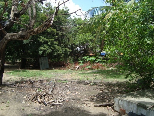 Imagem 10 de 11 de Terreno Para Alugar Na Cidade De Fortaleza-ce - L7512