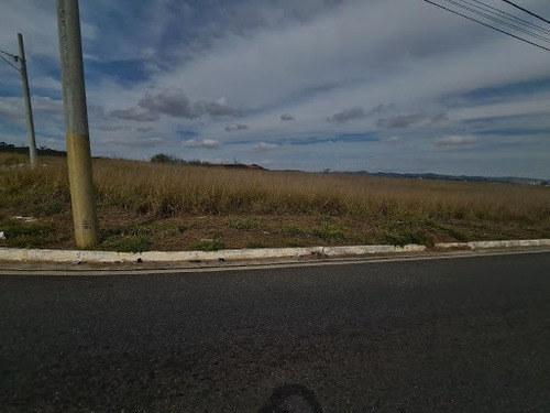 Imagem 8 de 13 de Terreno À Venda, 405 M² Por R$ 490.000,00 - Floresta - São José Dos Campos/sp - Te1673