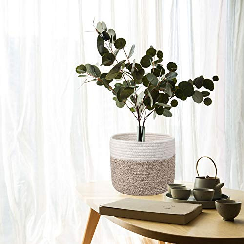 Cesto De Planta De Cuerda De Algodón Tejida Para Maceta De F