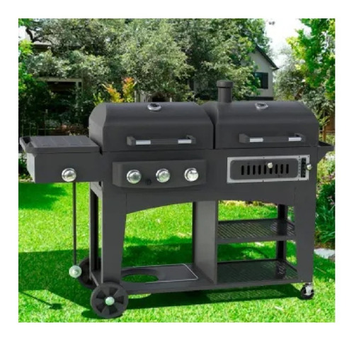 Asador Hibrido Gas Y Carbón Acero Inoxidable, Members M Msi