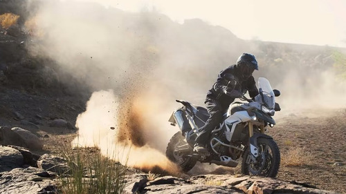 Imagen 10 de 24 de Triumph Tiger Rally Pro 900